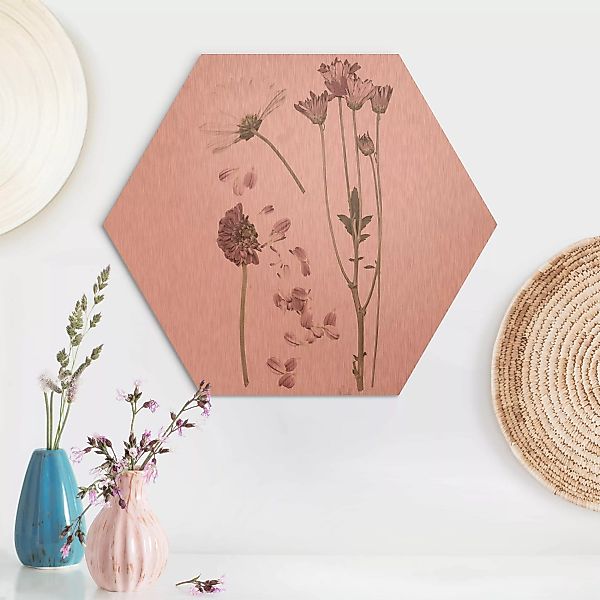 Hexagon-Alu-Dibond Bild Blumen Herbarium in rosa II günstig online kaufen