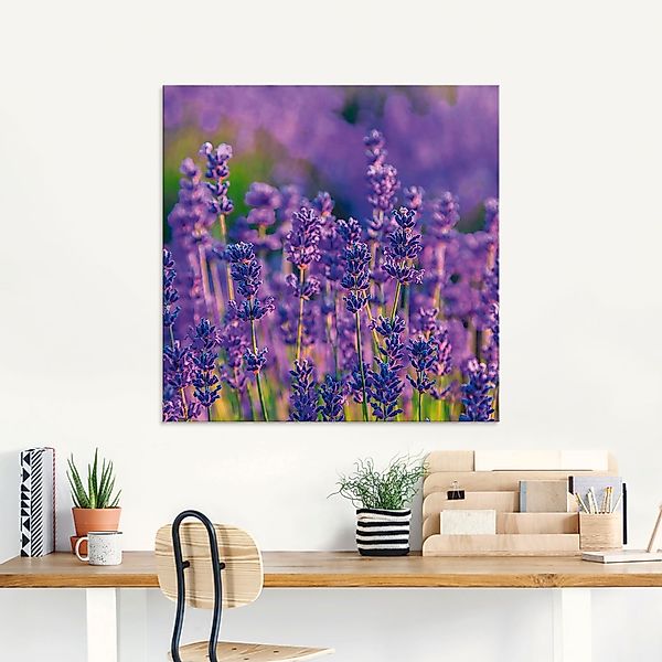 Artland Glasbild »Lavendelfeld in Tihany, Ungarn«, Felder, (1 St.), in vers günstig online kaufen