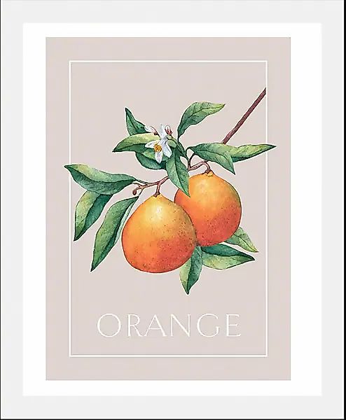 queence Bild »Orange«, Obst-Obst Bilder-Schriftzug-Kunst-Pflanzen-Pflanzenb günstig online kaufen