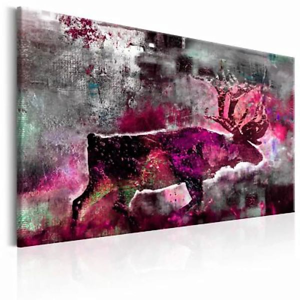 artgeist Wandbild Ruby Caribou rosa/grau Gr. 60 x 40 günstig online kaufen