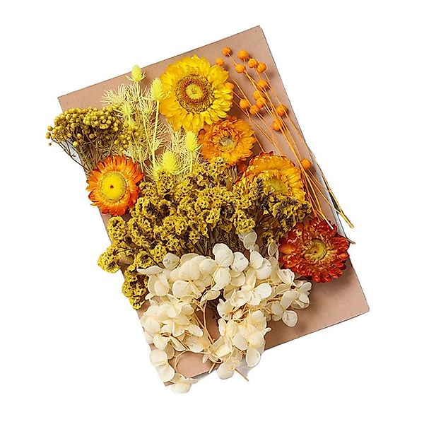 Trockenblume Pampasgras Zum Basteln Mini Trockenblumen, günstig online kaufen