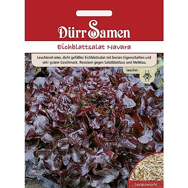 Dürr Samen Eichblattsalat Navara Saatgut günstig online kaufen