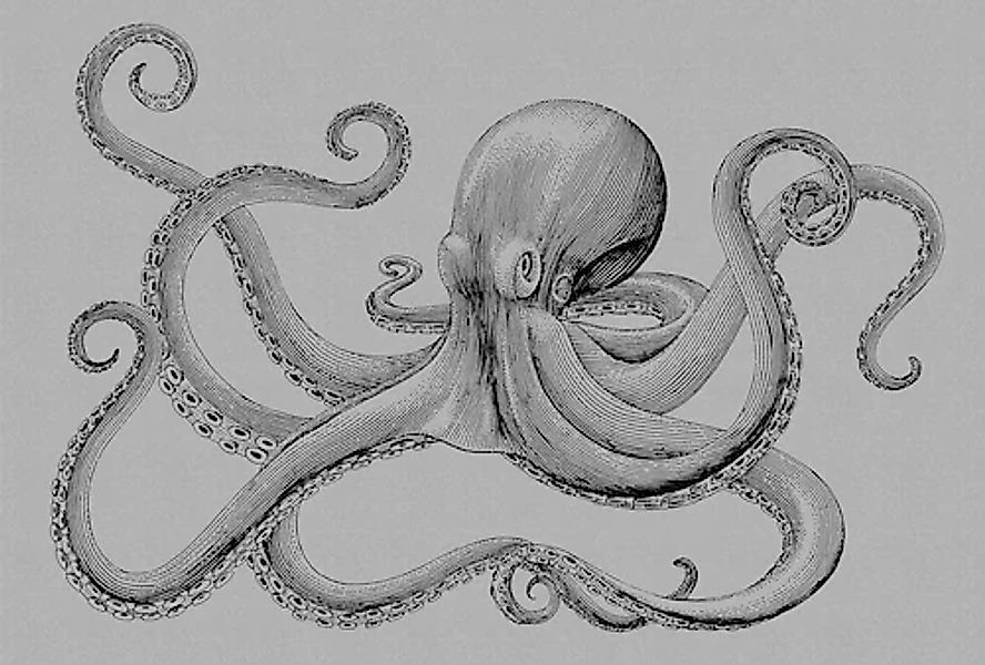 living walls Fototapete »Walls by Patel Jules 2« glatt Vlies, Wand, Schräge günstig online kaufen