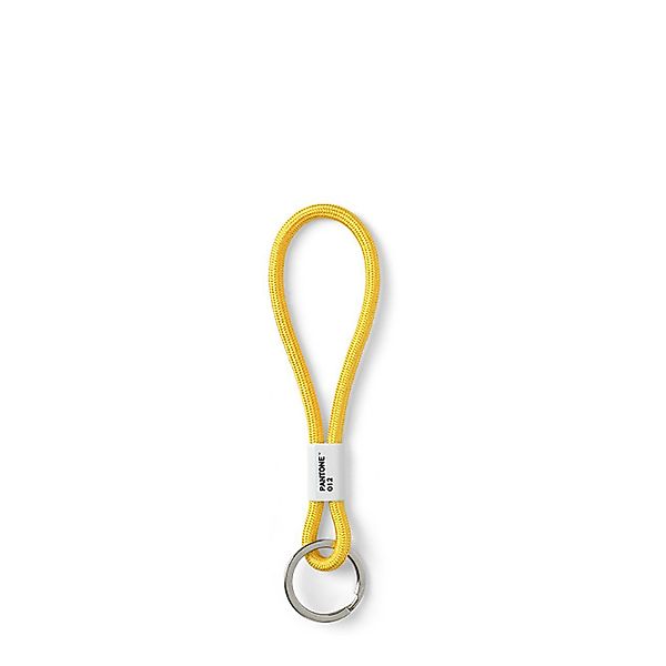 PANTONE Schlüsselanhänger, Design- Schlüsselband, Key Chain, günstig online kaufen