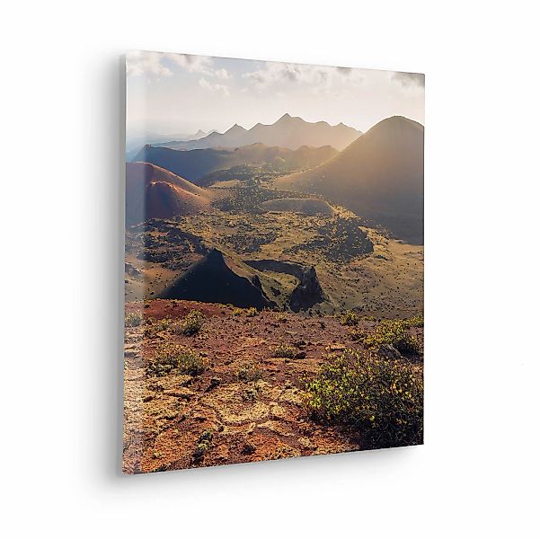 Komar Leinwandbild "Coloured Earth - Größe 40 x 40 cm" Baum  Berge  Blumen günstig online kaufen