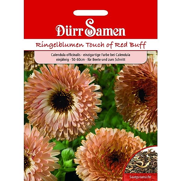 Dürr Samen Ringelblumen Touch Of Red Buff Einjährig Saatgut günstig online kaufen
