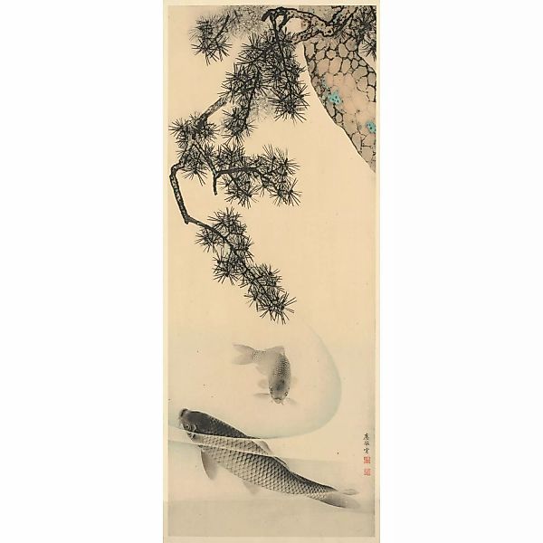 Komar Fototapete Vlies Koi 100 x 250 cm  100 x 250 cm günstig online kaufen