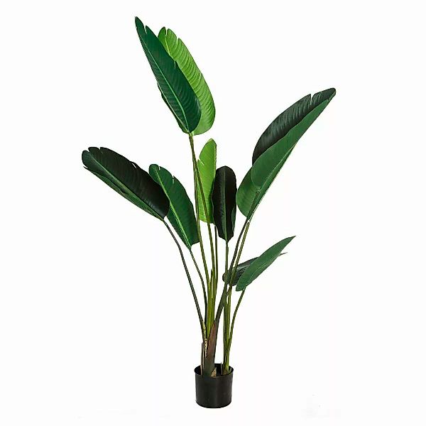 Dekorationspflanze Grün Pvc 150 Cm Paradiesvogelblume günstig online kaufen