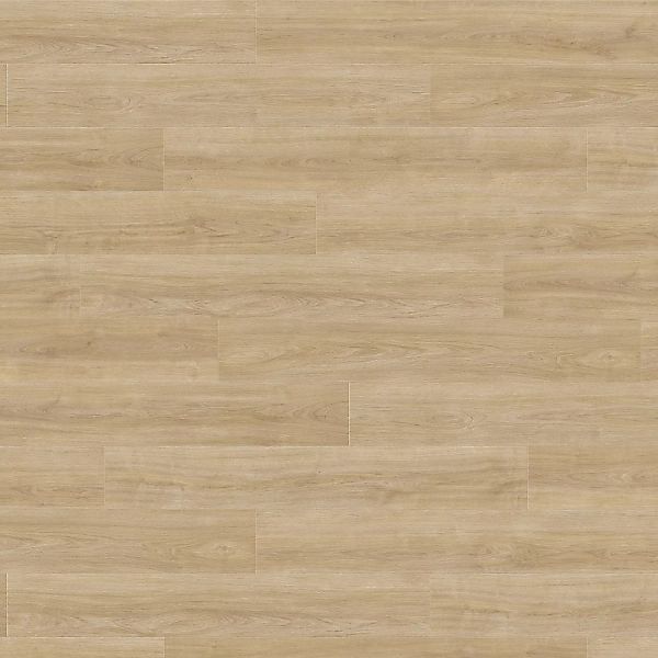 Living by Haro Laminat 8 mm Eiche Eleganza Puro günstig online kaufen