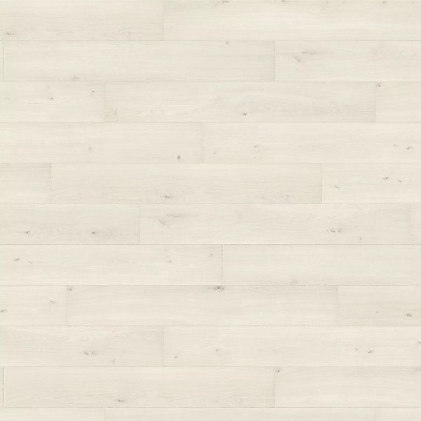 Living by Haro Laminat 8 mm Eiche Emilia Weiß günstig online kaufen