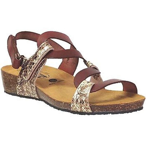 Plakton  Sandalen Now curvi günstig online kaufen