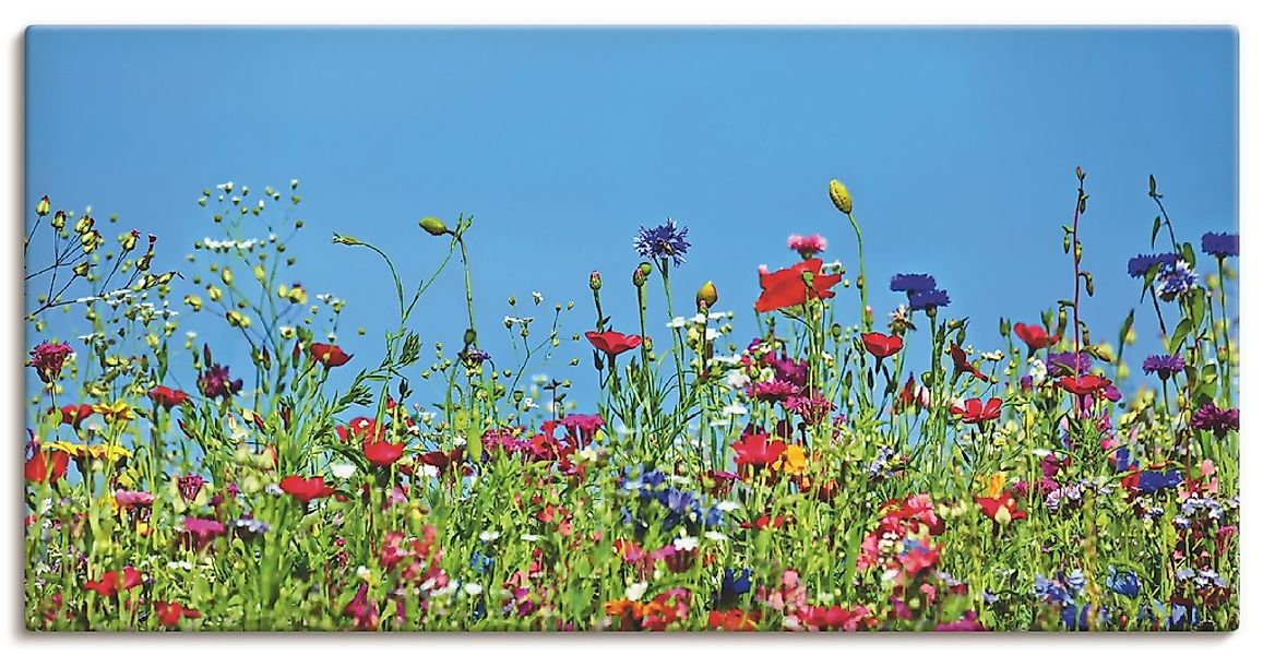 Artland Wandbild "Blumenwiese II", Blumenwiese, (1 St.), als Leinwandbild, günstig online kaufen