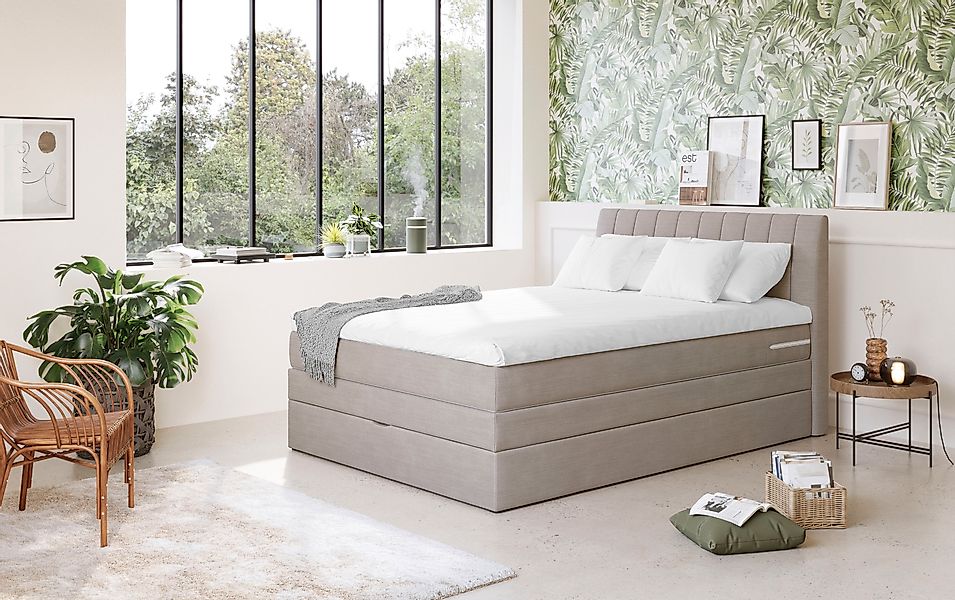 COTTA Boxspringbett »Shark inkl. Bettkasten und Topper« erhältlich in den B günstig online kaufen