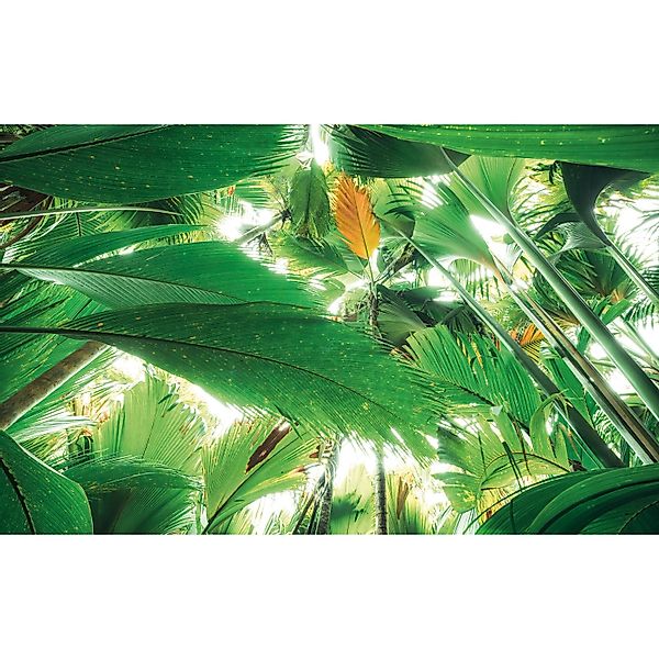 Vlies Fototapete Dschungeldach II 450x280 cm günstig online kaufen
