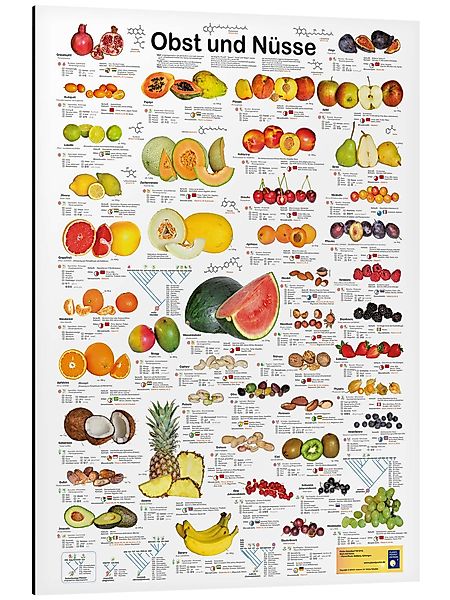 Posterlounge Wandbild Obst und Nüsse, Planet günstig online kaufen