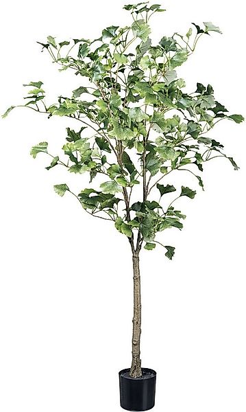 Kunstpflanze Gingkobaum Gingkobaum, Creativ green, Höhe 120 cm, mit detailg günstig online kaufen