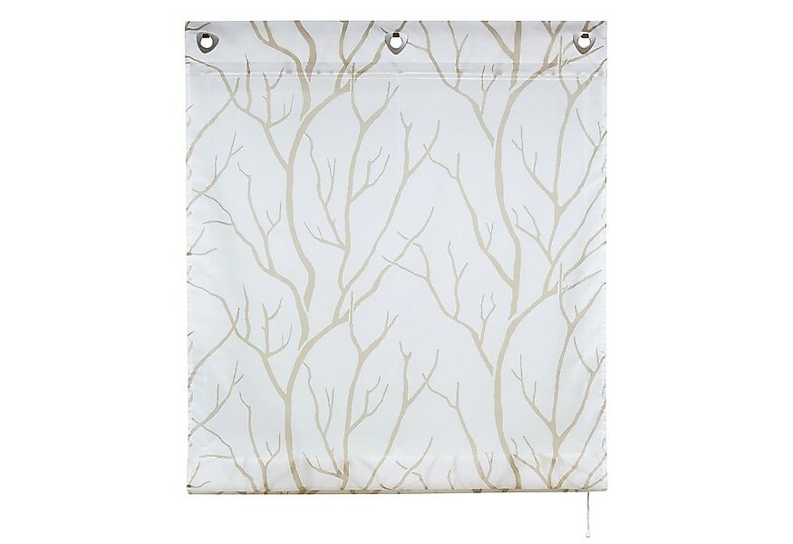 Joyswahl Raffrollo Tatjane, mit Hakenaufhängung, Voile Ösenrollo ohne Bohre günstig online kaufen