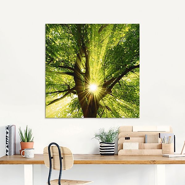 Artland Glasbild "Sonne strahlt explosiv durch den Baum" Bäume 1 Stk. tlg. günstig online kaufen