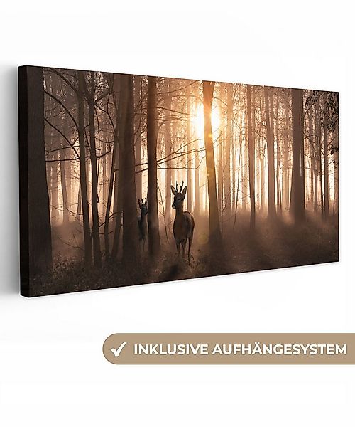 OneMillionCanvasses® Leinwandbild Panorama Wald - Hirsche - Sonne - Bäume - günstig online kaufen