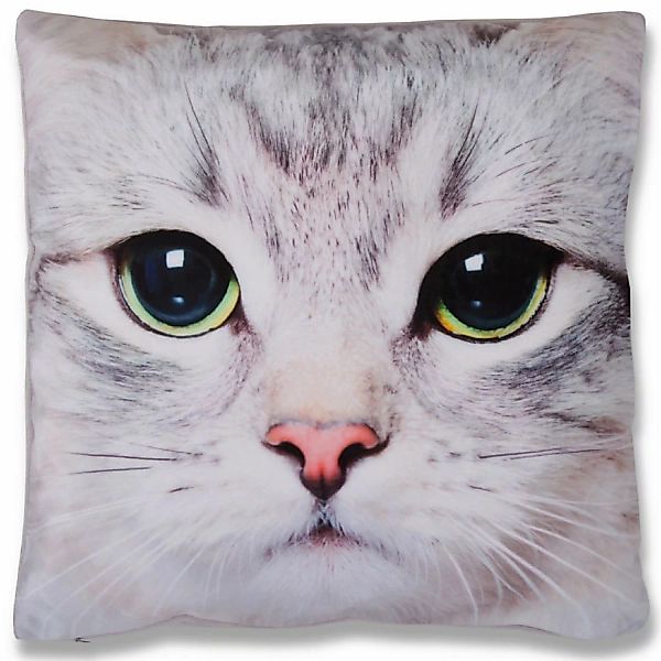 Bestlivings Kissenhülle Fotodruck 40 x 40 cm Katze Ohne Füllung günstig online kaufen