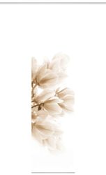 HOME WOHNIDEEN Schiebegardine 084656 Schiebewand KESSI günstig online kaufen