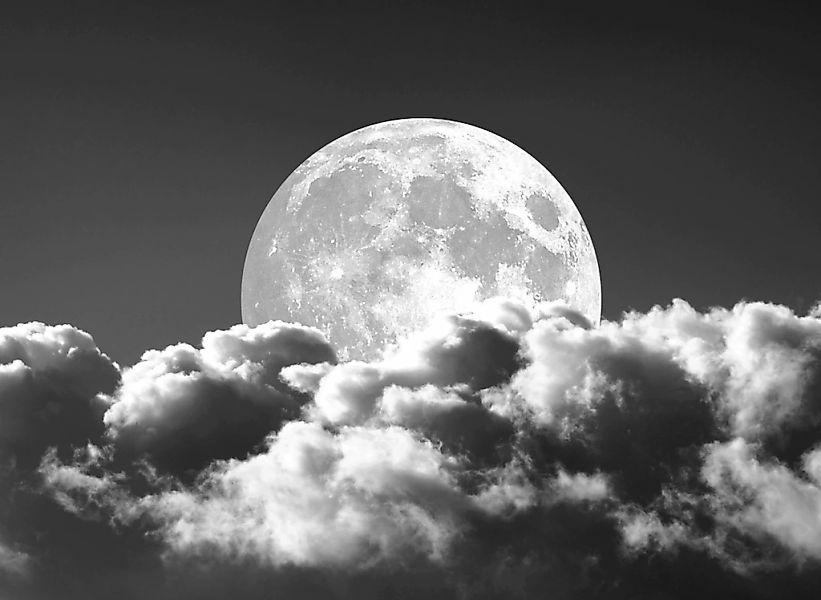 Papermoon Fototapete "Mond Schwarz & Weiß" günstig online kaufen