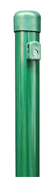 Alberts Zaun, ZPF,vz grün,Ø38/2500/2000 günstig online kaufen