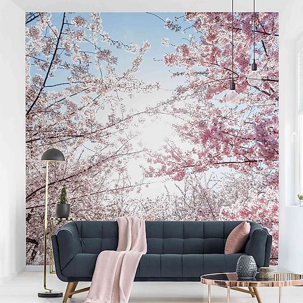 Bilderdepot24 Fototapete Blumen Kirschblütenzweigen Blumentapete Floral günstig online kaufen