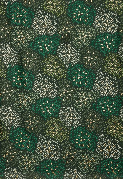 Caspar Modeschal SC517 Damen Schal mit günstig online kaufen