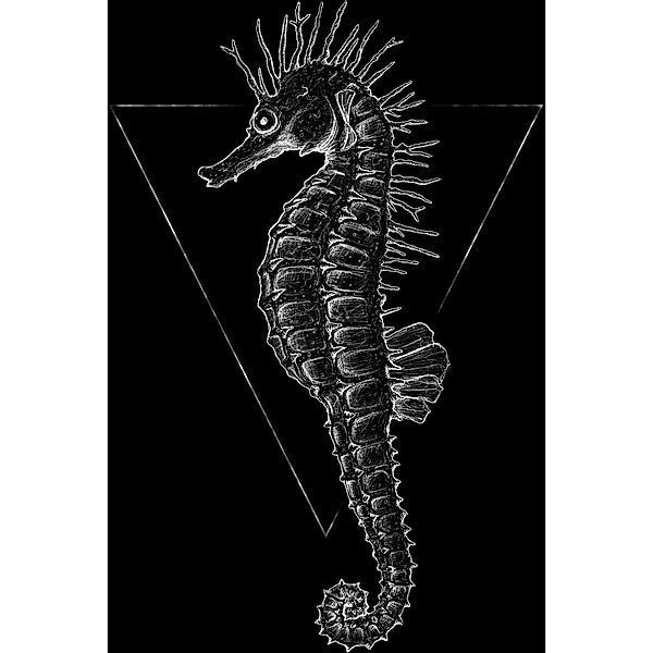 Komar Bild "Sea Horse Black" Tiere 1 Stk. tlg. Wandbild zur Dekoration - oh günstig online kaufen