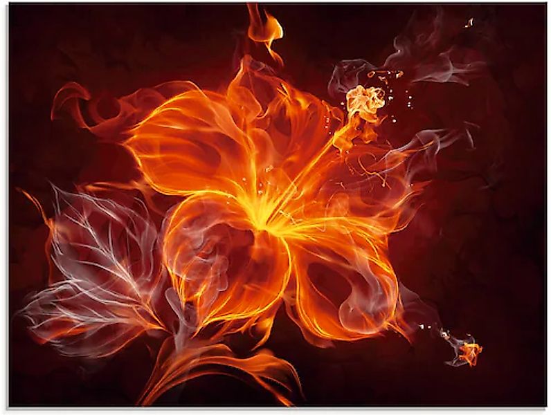Artland Glasbild »Feuerblume« Blumen 1 Stk. tlg. in verschiedenen Größen günstig online kaufen