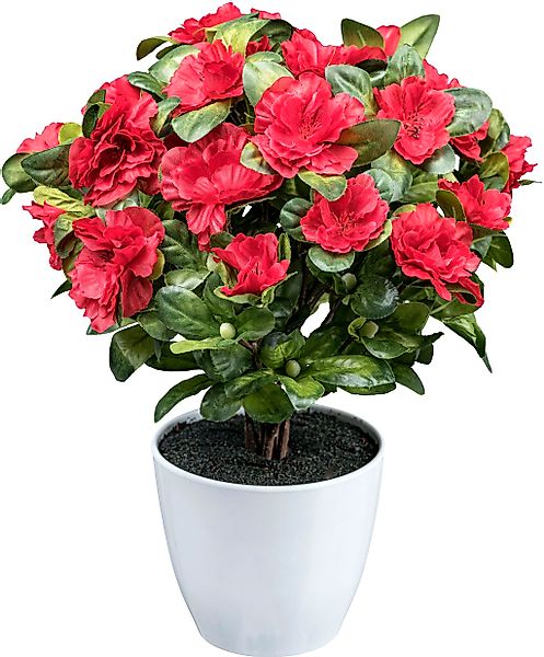 Kunstblume Azaleenbusch Azalee, Creativ green, Höhe 32 cm günstig online kaufen