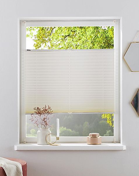 my home Plissee DAHRA - in günstig online kaufen