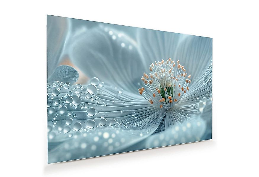Primedeco Glasbild Wandbild Blumenpracht mit Aufhängung, Blumen & Pflanzen günstig online kaufen