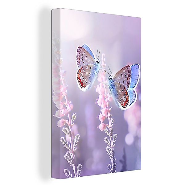 OneMillionCanvasses® Leinwandbild Schmetterling - Lavendel - günstig online kaufen