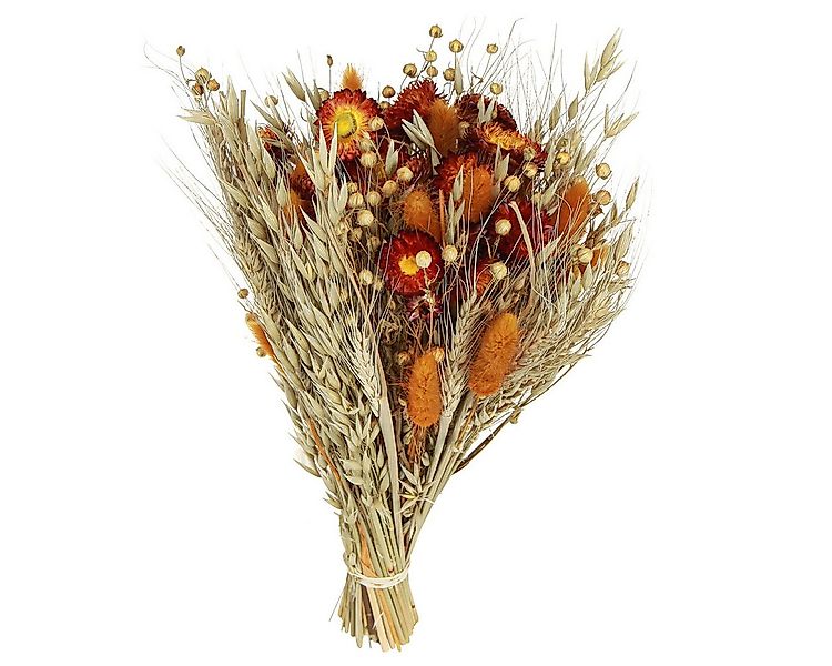 Trockenblume Dekorative Trockenblumenstrauß Orange-Mix, Natürliche, Othmar günstig online kaufen