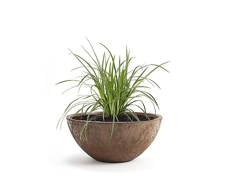 Pflanzwerk® Pflanzschale Pflanzkübel BOWL Frostbeständige Premium Blumensch günstig online kaufen