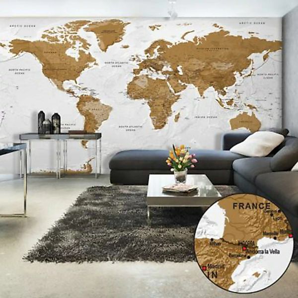 artgeist Fototapete World Map: White Oceans II braun/weiß Gr. 500 x 280 günstig online kaufen