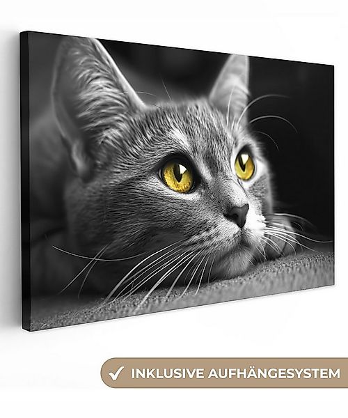 OneMillionCanvasses® Leinwandbild Katze - Schwarz - Weiß - Tiere - Natur, ( günstig online kaufen