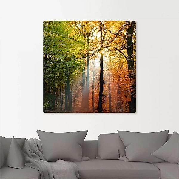 Artland Wandbild "Schöner Herbsttag 2", Wald, (1 St.) günstig online kaufen
