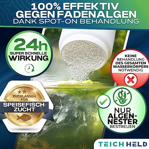 Teichheld Poolpflege Faden-Algenvernichter Teich-klar für kristallklares günstig online kaufen