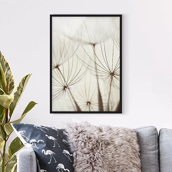 Bild mit Rahmen Blumen - Hochformat Sanfte Gräser günstig online kaufen