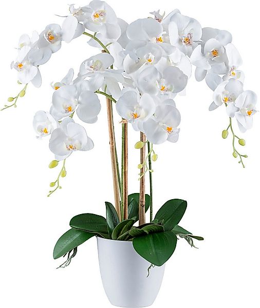 Kunstorchidee Orchidee Phalaenopsis, Creativ green, Höhe 62 cm, mit real-to günstig online kaufen