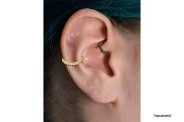 PIERCINGLINE Nasenpiercing Chirurgenstahl Segmentring Clicker EINGEFASSTE günstig online kaufen