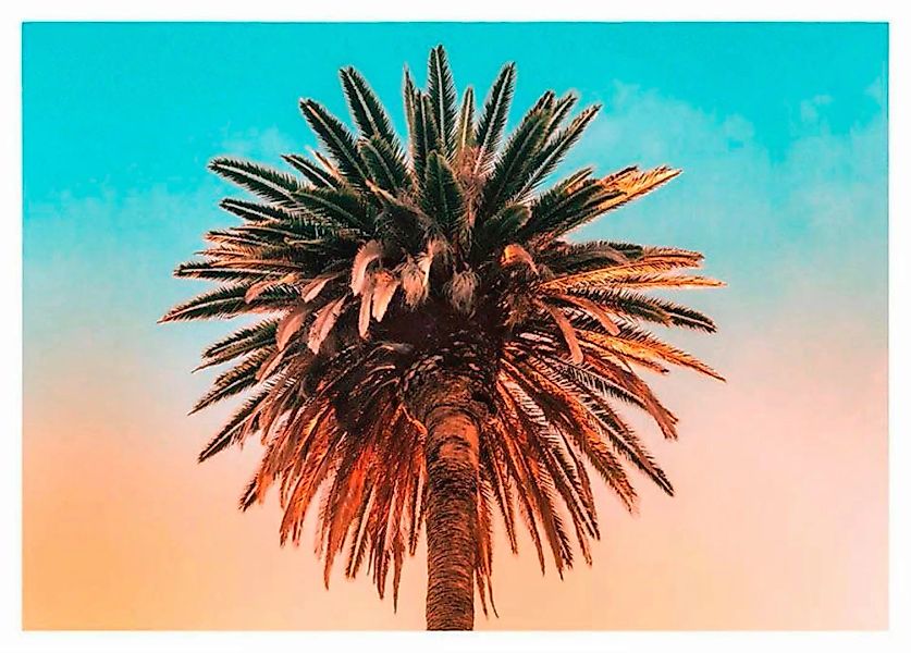 Komar Poster »Palm Tree«, Pflanzen-Blätter, (1 St.) günstig online kaufen