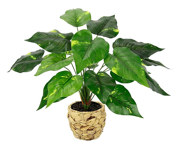 Kunstpflanze Pothospflanze in Wasserhyazinthentopf Pothospflanze, I.GE.A., günstig online kaufen