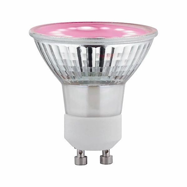 Paulmann Pflanzenlampe Paulmann LED-Pflanzenlampe Wachstum 230 günstig online kaufen