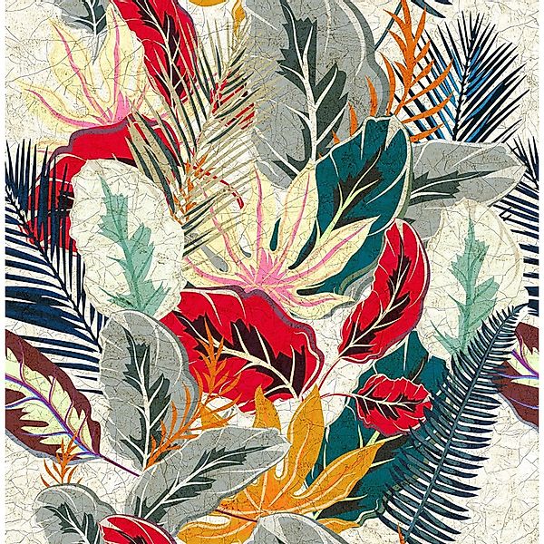 Marburg Fototapete Imani, glatt, matt, moderne Tapete für Wohnzimmer Schlaf günstig online kaufen