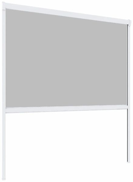 Windhager Insektenschutzrollo »PLUS« transparent BxH: 160x160 cm günstig online kaufen