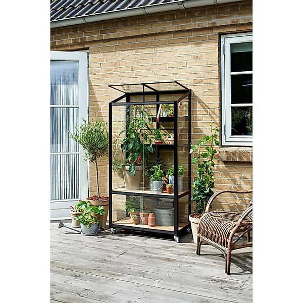 Juliana Gewächshaus Urban City Greenhouse Anthrazit 0,32 m² günstig online kaufen